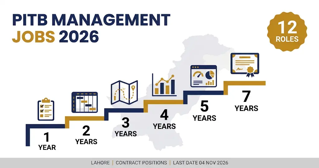 PITB Programme Manager Jobs 2026